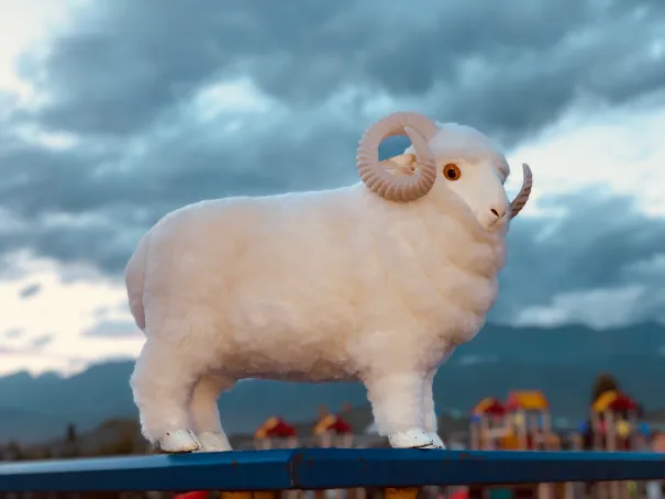 Merino Organic CoCo - Image 6